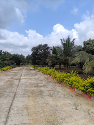  Plot – Garden View at Gadenahalli - for Sale