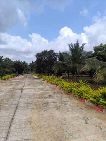  Plot – Garden View at Gadenahalli - for Sale