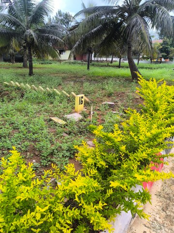  Plot – Garden View at Gadenahalli - for Sale