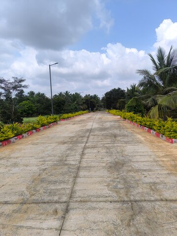 Plot Area in  Plot at Gadenahalli – for Sale