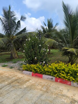  Plot – Garden View at Gadenahalli - for Sale