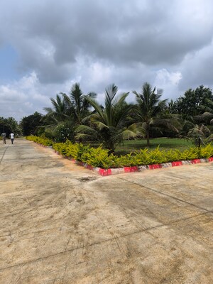  Plot – Garden View at Gadenahalli - for Sale