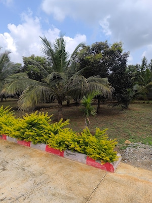  Plot – Garden View at Gadenahalli - for Sale