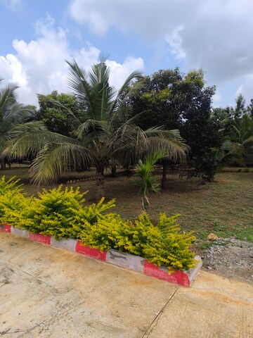  Plot – Garden View at Gadenahalli - for Sale