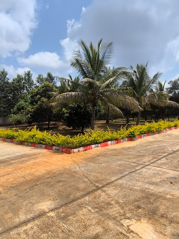Garden, kanakapura road  5640 Sq.Ft. Plot In Kanakapura Road Bangalore 9293185