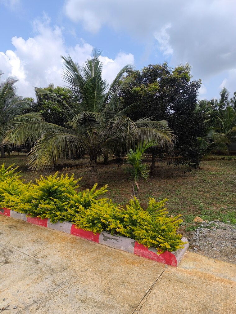 Garden, kanakapura road  5640 Sq.Ft. Plot In Kanakapura Road Bangalore 9293185