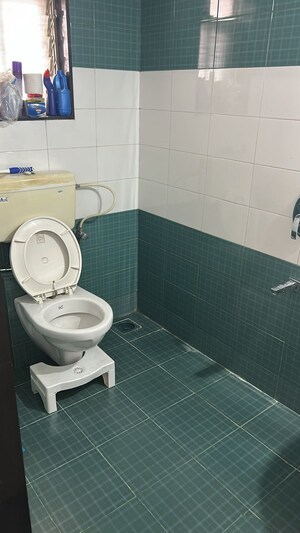 Bathroom in 3 BHK Apartment at Mutha Daffodil Avenue, Bavdhan – for Rent