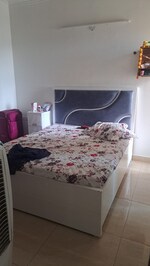 3 BHK 1595 Sq.Ft. Apartment in ACE Aspire