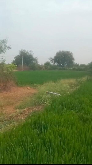 Plot Area in  Plot at Shadnagar – for Sale