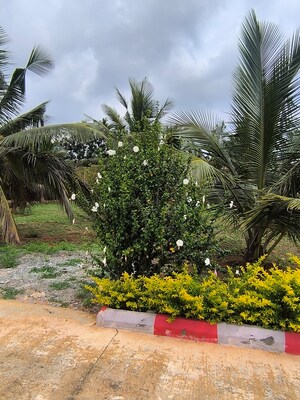  Plot – Exterior View View at Kanakapura - for Sale