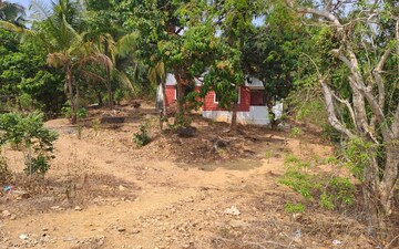 Plot For Sale in Kodibag