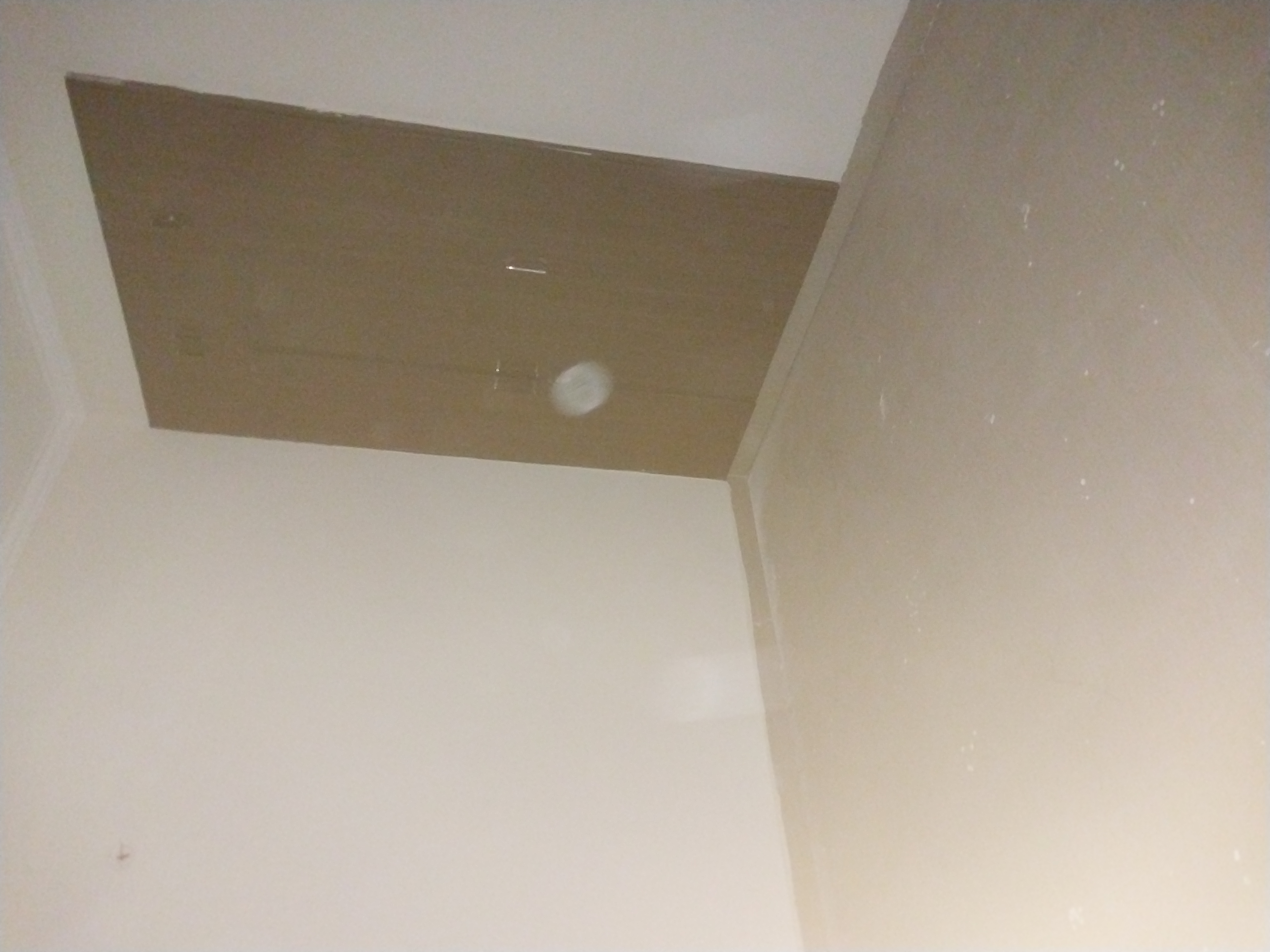 2 BHK Apartment For Rent in Paras Tierea