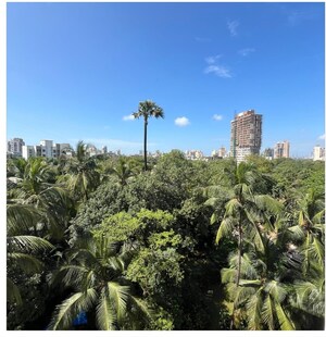 2 BHK Apartment – Exterior View View at Shangrila CHS Versova, Versova - for Rent