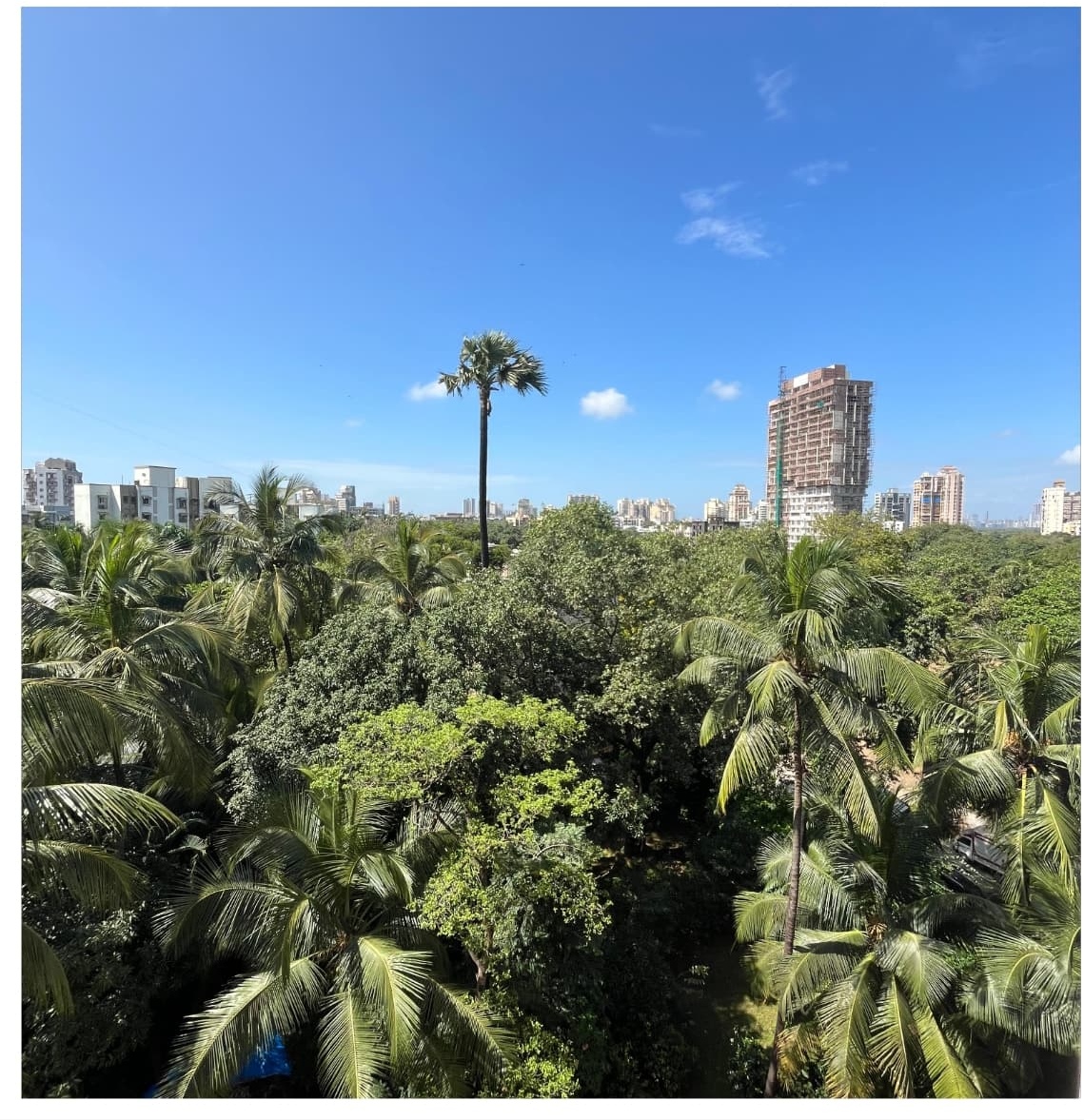 2 BHK Apartment For Sale in Shangrila CHS Versova