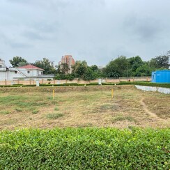 Plot For Sale in JMS The Nation