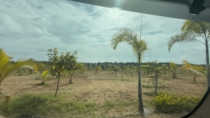 Plot Area in  Plot at Shabad – for Sale