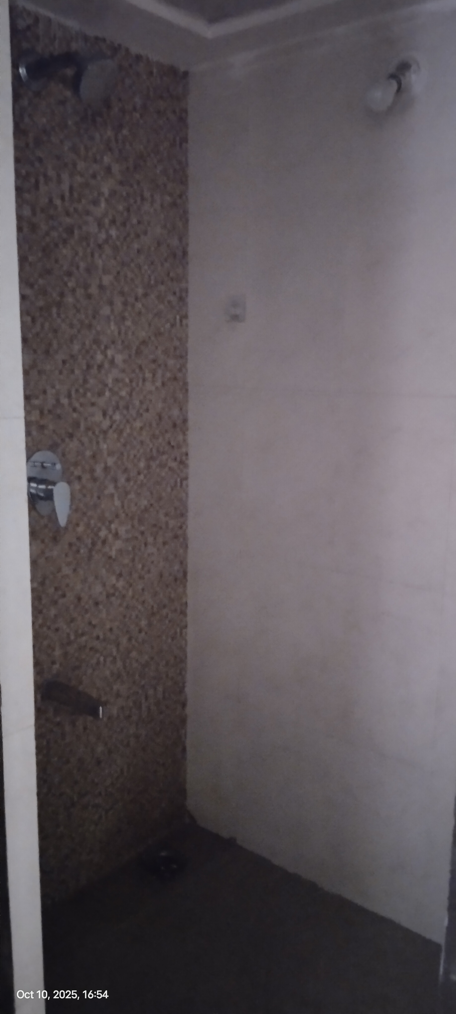 1 BHK + Pooja Room Apartment For Rent in Lodha Palava City Lakeshore Greens