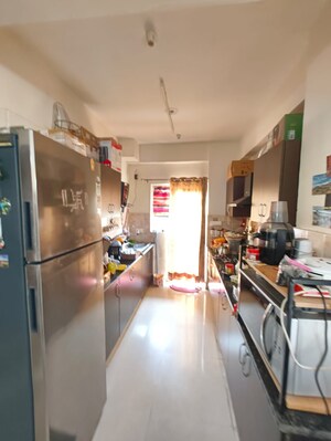 Kitchen in 4 BHK Apartment at Amrapali Eden Park, Sector 50 – for Rent