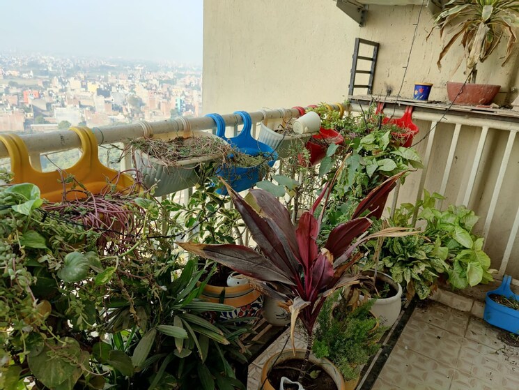 Balcony, saya-zion 3 Bedroom 1660 Sq.Ft. Apartment In Sector 4 Greater Noida Greater Noida 9294924