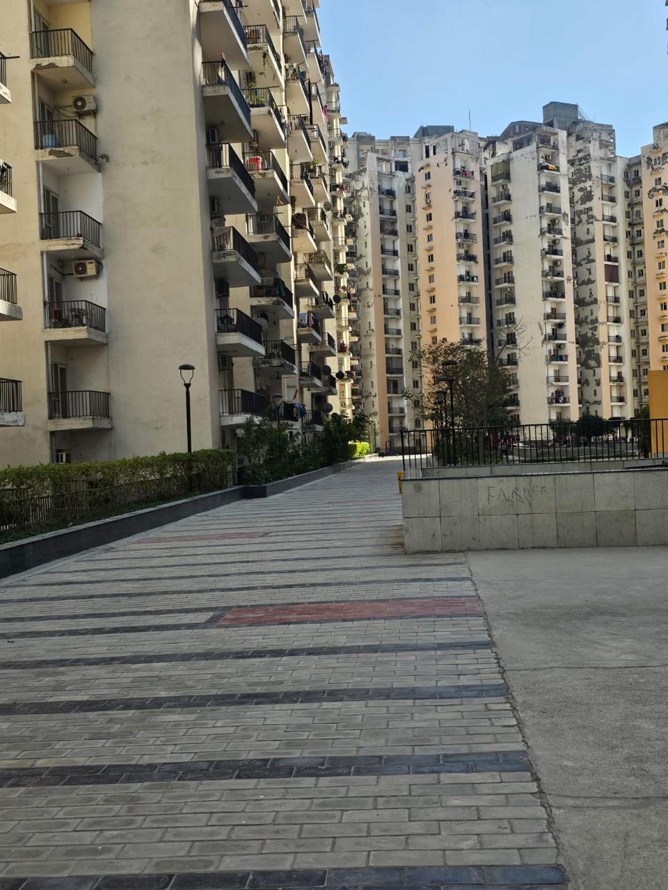 3 BHK + Study Room 1197 Sq.Ft. Apartment in Panchsheel Hynish