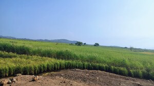 Plot Area in  Plot at Uran – for Sale