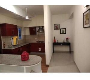 1 BHK Builder Floor For Rent in Sahastradhara Road