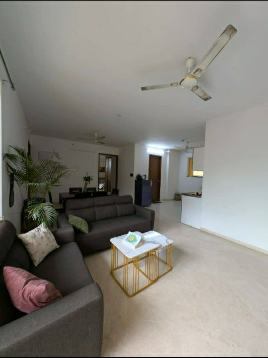 1 BHK + Study Room Apartment For Rent in Kothari Orchid