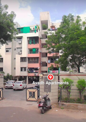 3 BHK Apartment For Rent in Jodhpur