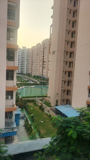 2 BHK Apartment For Rent in SRS Royal Hills, Sector 87