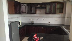 Kitchen in 1 BHK Apartment at Patiala Road – for Rent