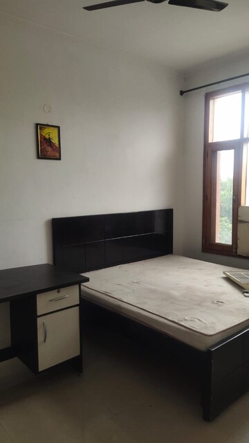 1 BHK Apartment For Rent in Patiala Road