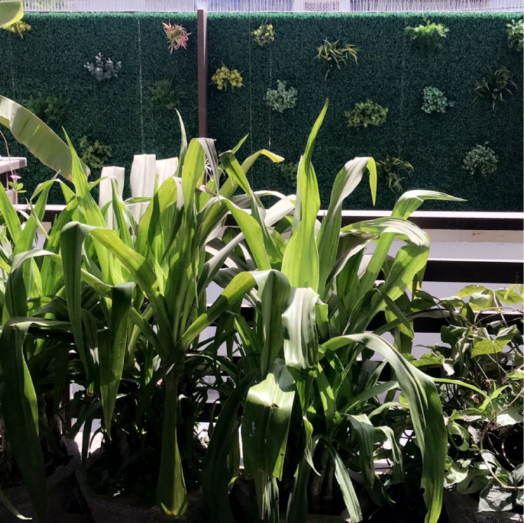  Parking, greater kailash i 6 Bedroom 7100 Sq.Ft. Builder Floor In Greater Kailash I Delhi 9295806