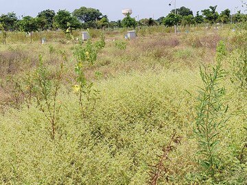 Plot Area in  Plot at Shadnagar – for Sale