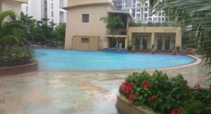 2 BHK Apartment For Rent in Kool Homes Arena, Balewadi