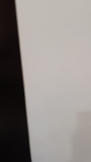 Furnished Amenities in 1 BHK Apartment at K Raheja Palm Court, Malad West – for Rent