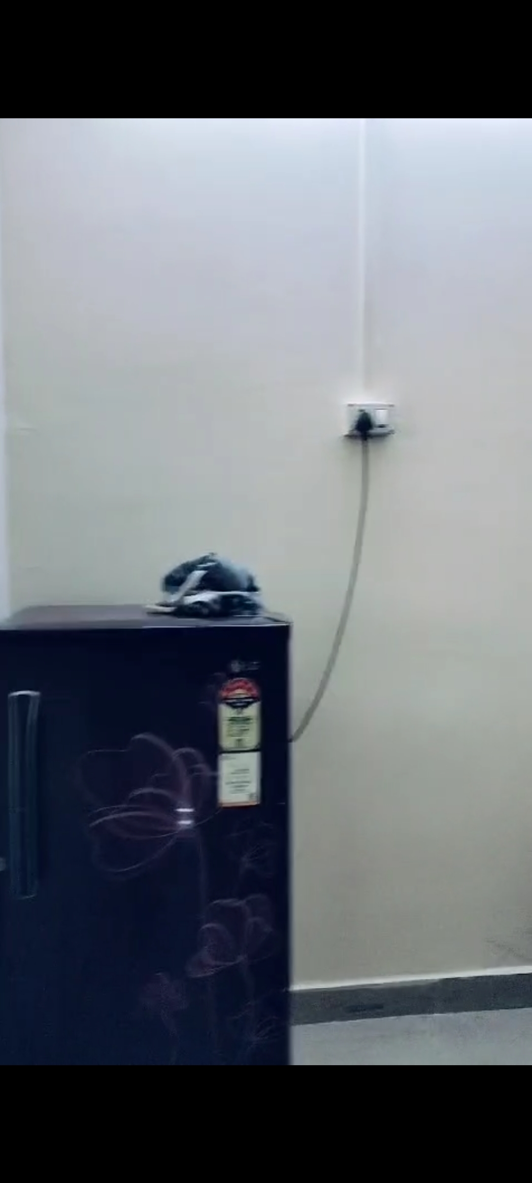 1 BHK 350 Sq.Ft. Apartment in Mahalaxmi CHS Worli