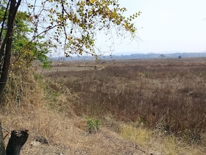 Plot Area in  Plot at Dronagiri – for Sale