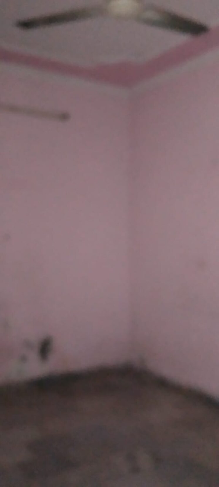 Room, mehrauli 2 Bedroom 750 Sq.Ft. Builder Floor In Mehrauli Delhi 9296315