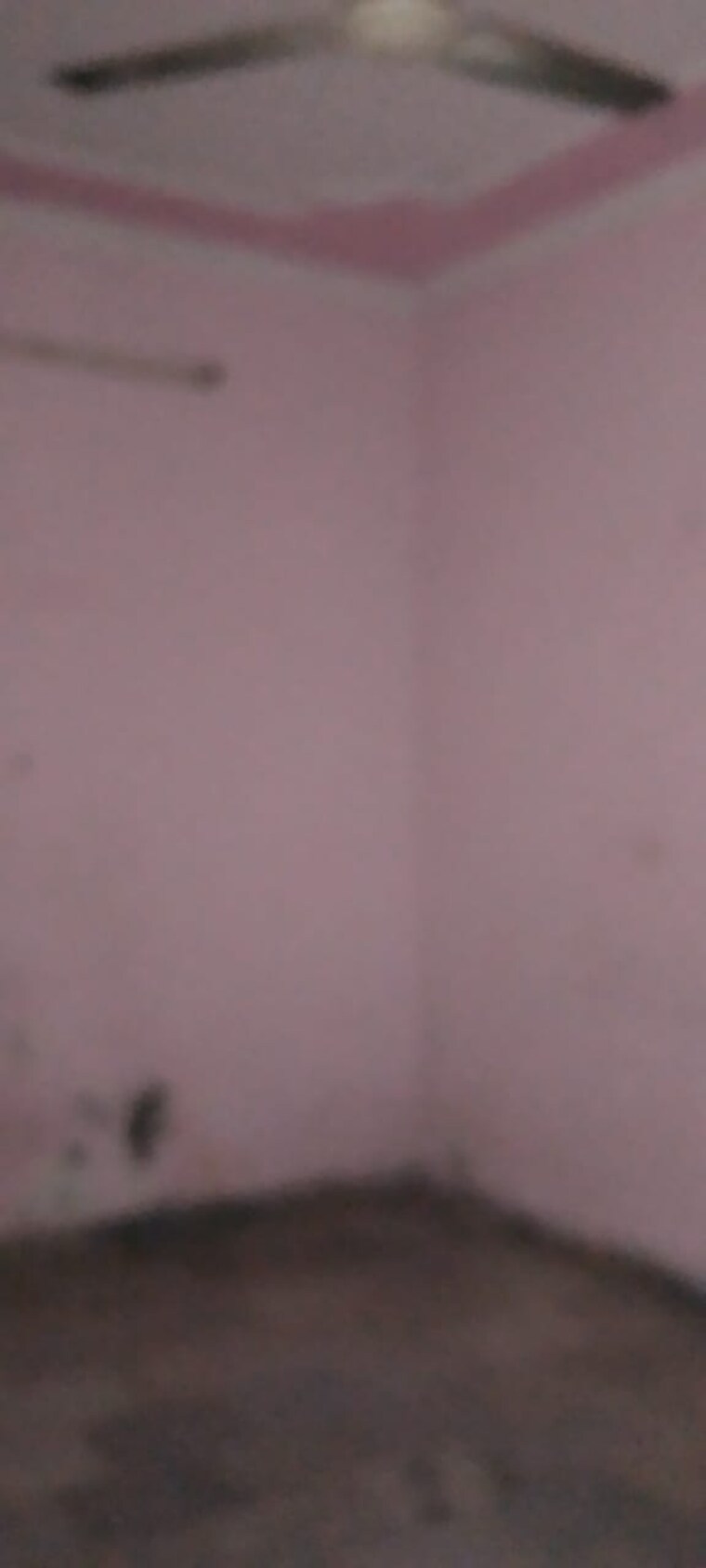 Room, mehrauli 2 Bedroom 750 Sq.Ft. Builder Floor In Mehrauli Delhi 9296315