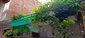 2 BHK Independent House – Garden View at Burari - for Sale