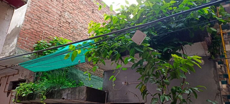 Garden, burari 2 Bedroom 450 Sq.Ft. Independent House In Burari Delhi 9296346