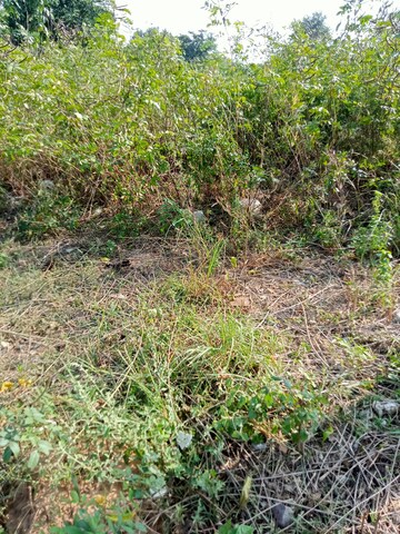Plot Area in  Plot at Sainik Farm – for Sale