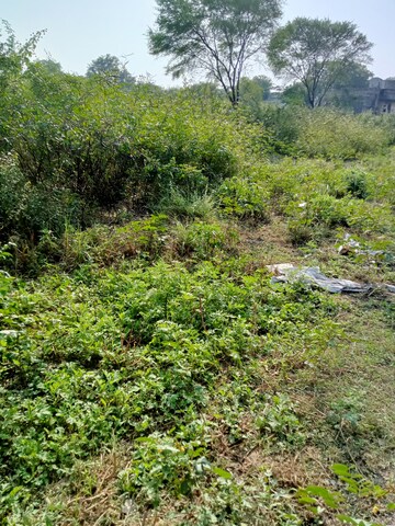  Plot For Sale in Sainik Farm