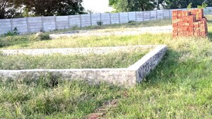 Plot Area in  Plot at Sector 137 – for Sale
