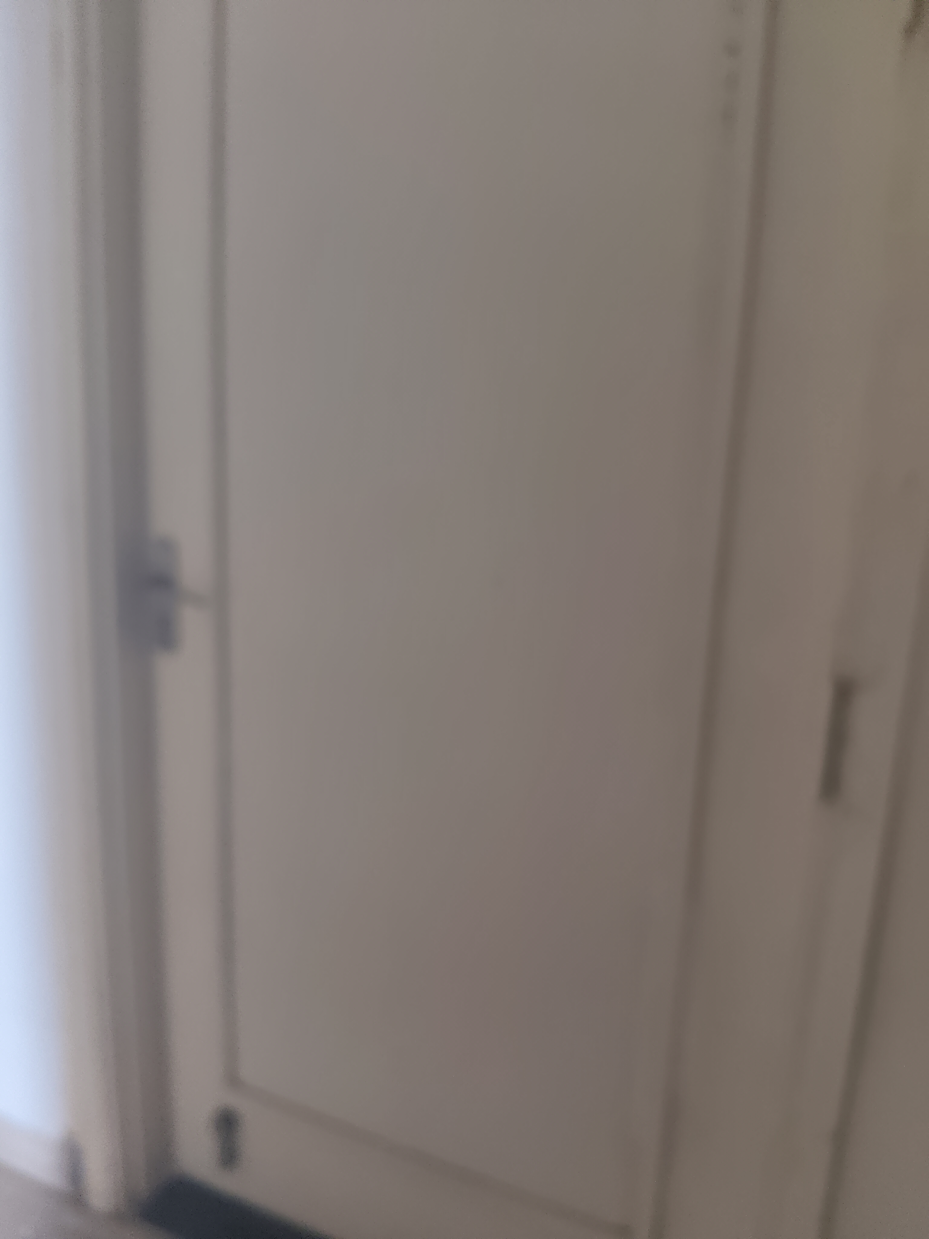 1 BHK Apartment For Rent in Manglam Aadhar