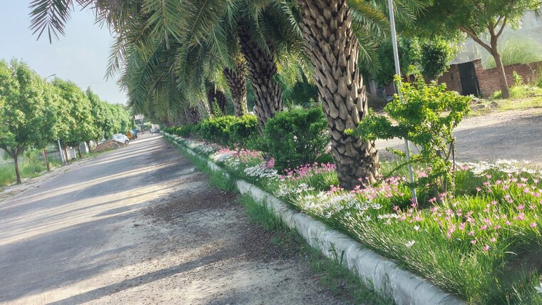 Garden, wing-lucknow-greens-plots  3000 Sq.Ft. Plot In Sultanpur Road Lucknow 9297005