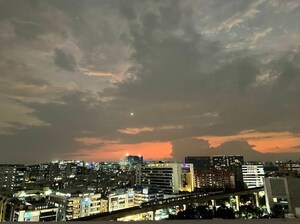  Office Space – Exterior View View at Jain Sadguru Image Capital Park, Madhapur - for Rent