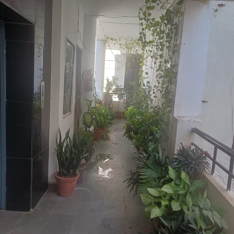 Balcony, penta-homes 3 Bedroom 1500 Sq.Ft. Apartment In Vip Road Zirakpur 9297372