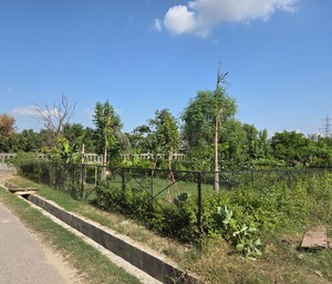 Plot Area in  Plot at RWA Apartments Sector 12, Sector 12 – for Sale