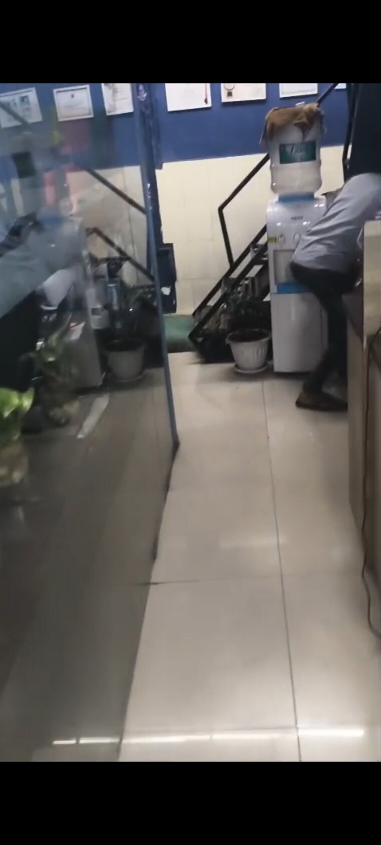 Floor Plan, dattani-barkha-bahaar Commercial Shop 180 Sq.Ft. In Kandivali East Mumbai 9297956